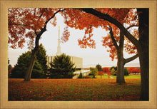 Load image into Gallery viewer, Provo Sanctuary
