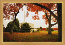 Load image into Gallery viewer, Provo Sanctuary
