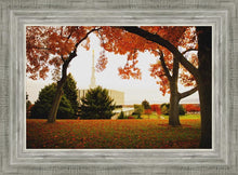 Load image into Gallery viewer, Provo Sanctuary
