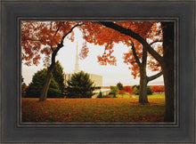 Load image into Gallery viewer, Provo Sanctuary
