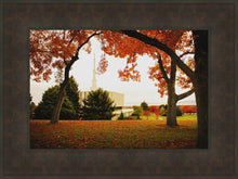 Load image into Gallery viewer, Provo Sanctuary
