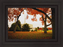 Load image into Gallery viewer, Provo Sanctuary

