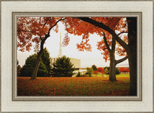 Load image into Gallery viewer, Provo Sanctuary
