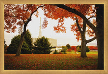 Load image into Gallery viewer, Provo Sanctuary
