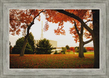 Load image into Gallery viewer, Provo Sanctuary
