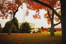 Load image into Gallery viewer, Provo Sanctuary
