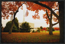 Load image into Gallery viewer, Provo Sanctuary
