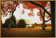 Load image into Gallery viewer, Provo Sanctuary
