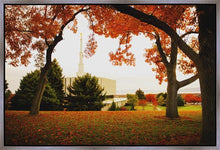 Load image into Gallery viewer, Provo Sanctuary

