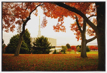 Load image into Gallery viewer, Provo Sanctuary

