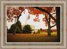 Load image into Gallery viewer, Provo Sanctuary
