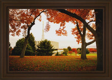 Load image into Gallery viewer, Provo Sanctuary
