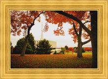 Load image into Gallery viewer, Provo Sanctuary
