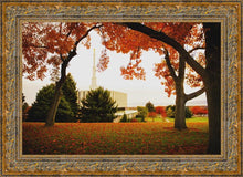 Load image into Gallery viewer, Provo Sanctuary
