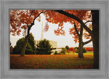 Load image into Gallery viewer, Provo Sanctuary
