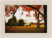 Load image into Gallery viewer, Provo Sanctuary
