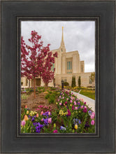 Load image into Gallery viewer, Ogden Tulips
