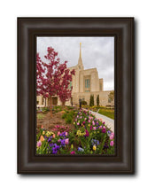 Load image into Gallery viewer, Ogden Tulips
