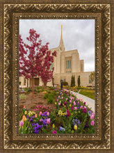 Load image into Gallery viewer, Ogden Tulips

