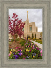 Load image into Gallery viewer, Ogden Tulips
