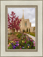 Load image into Gallery viewer, Ogden Tulips
