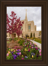 Load image into Gallery viewer, Ogden Tulips
