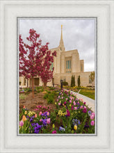 Load image into Gallery viewer, Ogden Tulips
