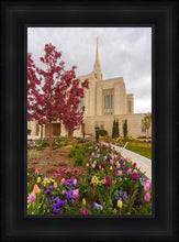 Load image into Gallery viewer, Ogden Tulips
