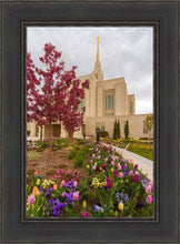 Load image into Gallery viewer, Ogden Tulips

