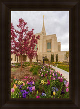 Load image into Gallery viewer, Ogden Tulips
