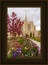 Load image into Gallery viewer, Ogden Tulips
