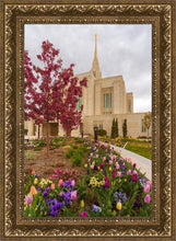 Load image into Gallery viewer, Ogden Tulips
