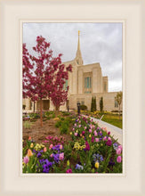 Load image into Gallery viewer, Ogden Tulips
