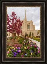 Load image into Gallery viewer, Ogden Tulips
