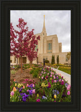 Load image into Gallery viewer, Ogden Tulips
