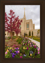 Load image into Gallery viewer, Ogden Tulips
