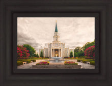Load image into Gallery viewer, Houston Everlasting
