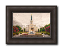 Load image into Gallery viewer, Houston Everlasting
