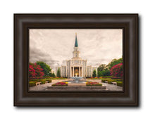 Load image into Gallery viewer, Houston Everlasting

