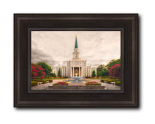 Load image into Gallery viewer, Houston Everlasting
