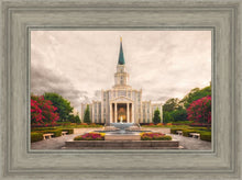 Load image into Gallery viewer, Houston Everlasting
