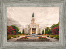 Load image into Gallery viewer, Houston Everlasting
