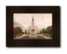 Load image into Gallery viewer, Houston Everlasting
