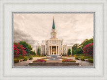 Load image into Gallery viewer, Houston Everlasting
