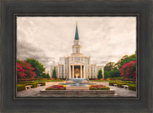 Load image into Gallery viewer, Houston Everlasting
