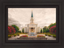 Load image into Gallery viewer, Houston Everlasting
