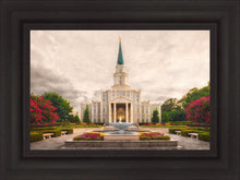 Load image into Gallery viewer, Houston Everlasting
