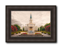 Load image into Gallery viewer, Houston Everlasting
