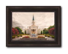 Load image into Gallery viewer, Houston Everlasting

