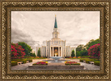 Load image into Gallery viewer, Houston Everlasting
